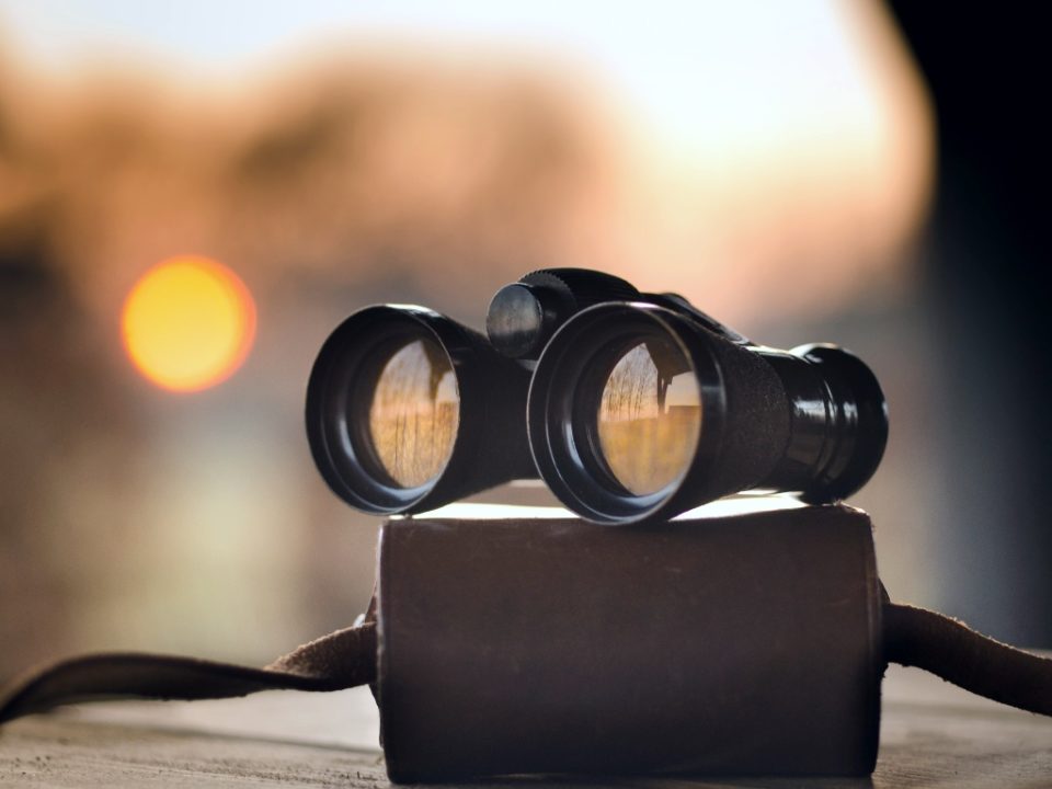 For the right perspective it's crucial to use data in executive search – then you won't need old school binoculars for your search